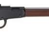 Henry H001TRP Small Game Rifle 22 S/L/LR Lever .22 LR 20" 16+1