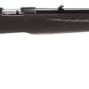 Ruger American .17 HMR