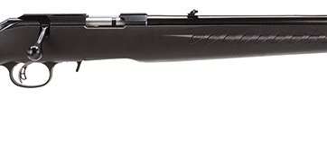 Ruger American .17 HMR