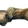 Primos Hunting Calls Stretch-Fit Gloves Realtree APG One Size Fits Most Primos Hunting Calls