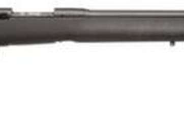 Cva Wolf 209 Magnum .50 Caliber 24 Inch Blue Barrel Fiber Optic Sights Black Stock CVA