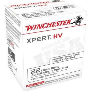 Winchester XPert 22LR 36gr