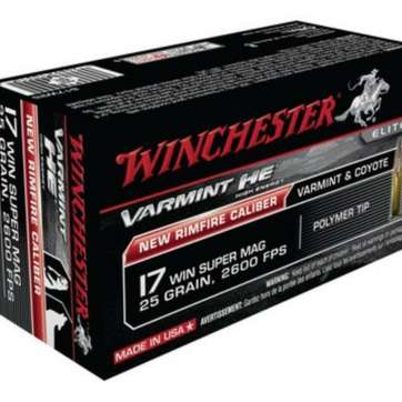 Winchester Varmint HE .17 Winchester Super Magnum Rimfire 25gr