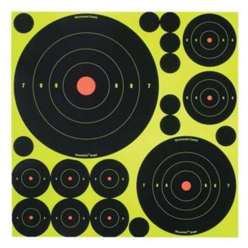 Birchwood Casey Shoot-N-C Self-Adhesive Targets Variety Pack