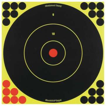 Birchwood Casey Shoot-N-C Targets 12" Round Bullseye