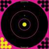 Birchwood Casey Shoot-N-C Pink Reactive Target 12" Bullseye 5 Per Package Birchwood Casey