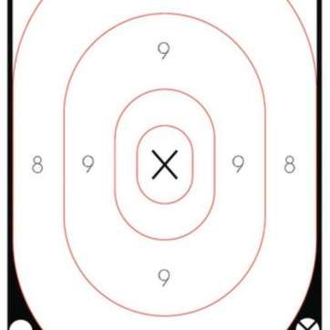 Birchwood Casey Shoot-N-C White/Black 12x18" Silhouette 5 Targets