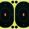 Birchwood Casey Shoot-N-C Targets