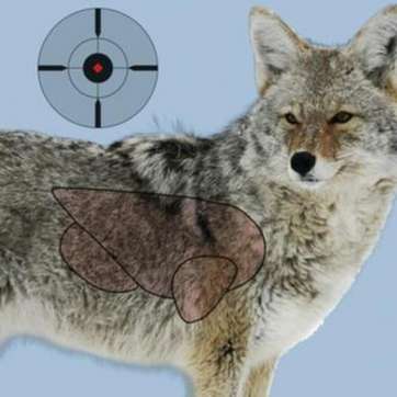 Birchwood Casey Dirty Bird Pregame Animal Targets Coyote 16.5x24"