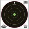 Birchwood Casey Dirty Bird Multi-Color Targets Indoor/Outdoor Use 8"