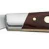 Buck Solo Folding Knife Single Steel Blade