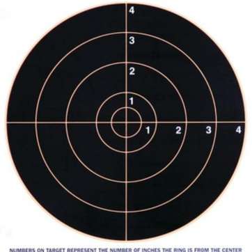 Champion Visishot 8" Bullseye Target
