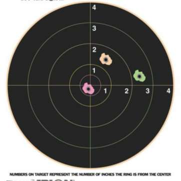 Champion Visicolor 8" Bullseye Target