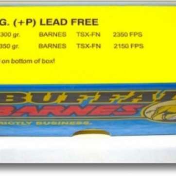 Buffalo Bore Ammo 45-70 Gov Barnes TSX 300 gr