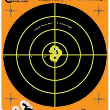 Caldwell 805-645 Orange Peel Targets Bullseye 8" 5 Pack PAST