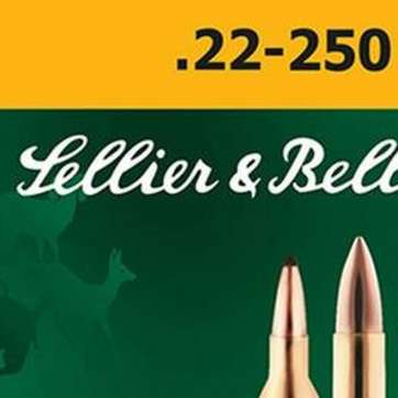 Sellier & Bellot Soft Point 22-250 Rem 55 gr