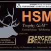 HSM Trophy Gold 338 Winchester Magnum Open Tip Match 300 gr