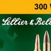 Sellier & Bellot Rifle 300 Win Mag 180gr