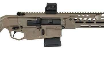 SIG SAUER MCX-REGULATOR (ROMEO PACKAGE) for sale